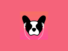LillyPlayer