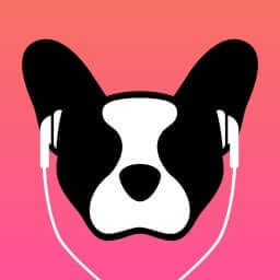 LillyPlayer